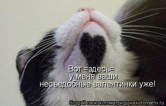 Вот =здесь= у меня ваши несъедобные валентинки уже!... Котоматрица: Вот =здесь= у меня ваши несъедобные валентинки уже!
