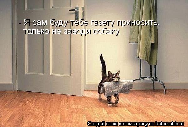 - Я сам буду тебе газету приносить, только не заводи собаку.... Котоматрица: - Я сам буду тебе газету приносить, только не заводи собаку.