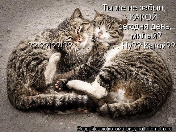 Ты же не забыл, КАКОЙ сегодня день, милый? ??!??!??!??. . . . . . . . . . Ну?? Какой??... Котоматрица: Ты же не забыл, КАКОЙ сегодня день, милый? ??!??!??!??. . . . . . . . . . Ну?? Какой??