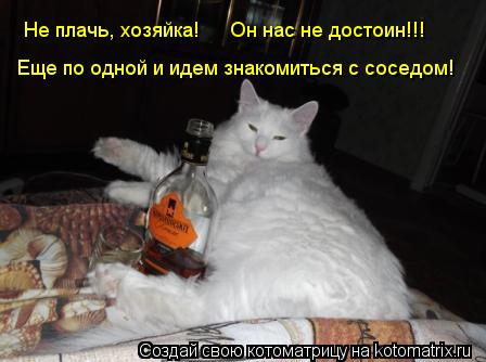 Не плачь, хозяйка! Он нас не достоин!!! Еще по одной и идем знакомиться с соседом!... Котоматрица: Не плачь, хозяйка! Он нас не достоин!!! Еще по одной и идем знакомиться с соседом!