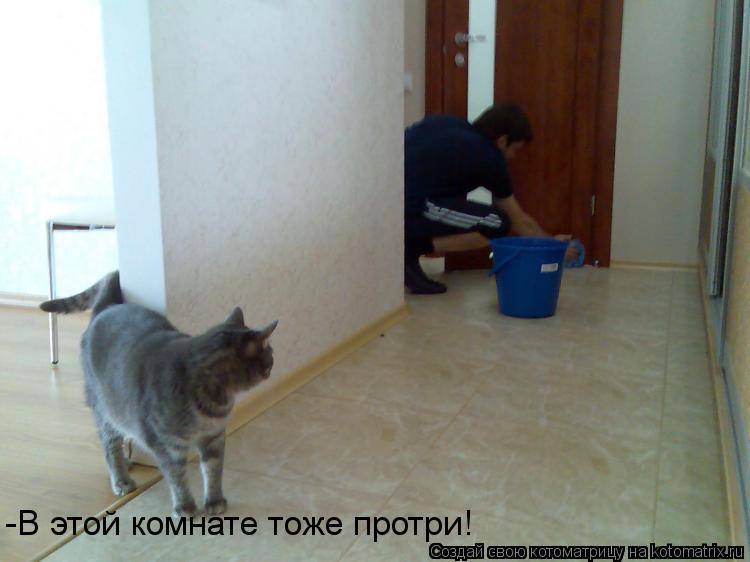 -В этой комнате тоже протри!... Котоматрица: -В этой комнате тоже протри!