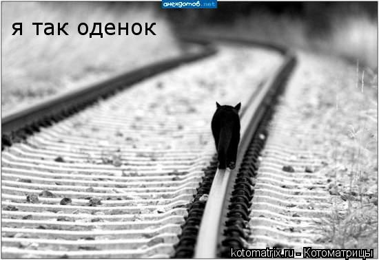 я так оденок... Котоматрица: я так оденок