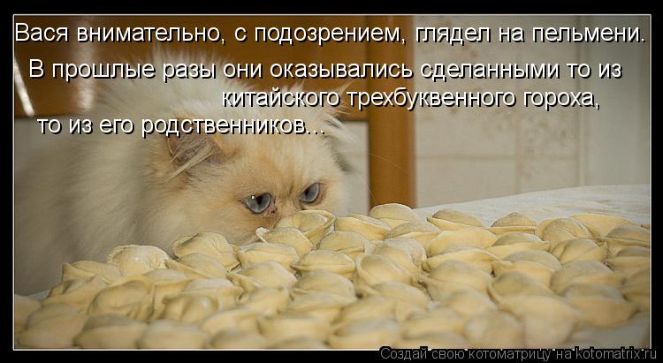 Вася внимательно, с подозрением, глядел на пельмени. В прошлые разы они оказывались сделанными то из ... Котоматрица: Вася внимательно, с подозрением, глядел на пельмени. В прошлые разы они оказывались сделанными то из китайского трехбуквенного гороха, то