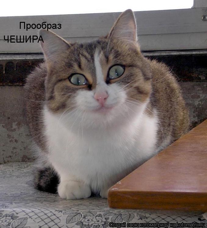 Прообраз ЧЕШИРА... Котоматрица: Прообраз ЧЕШИРА