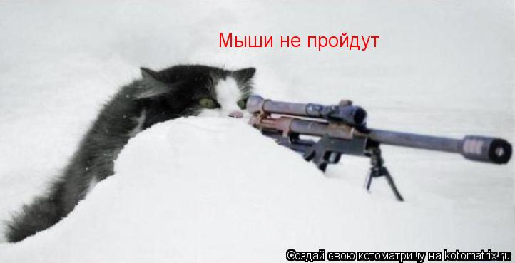 Мыши не пройдут... Котоматрица: Мыши не пройдут