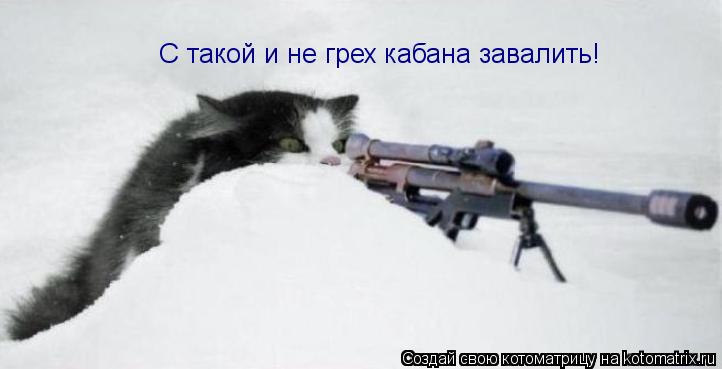 С такой и не грех кабана завалить!... Котоматрица: С такой и не грех кабана завалить!
