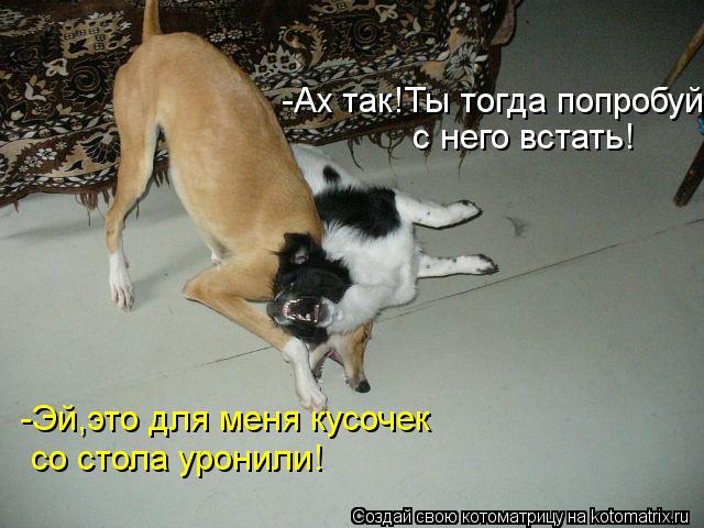 -Эй,это для меня кусочек со стола уронили! -Ах так!Ты тогда попробуй с него встать!... Котоматрица: -Эй,это для меня кусочек со стола уронили! -Ах так!Ты тогда попробуй с него встать!