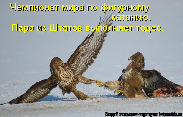 Чемпионат мира по фигурному катанию. Пара из Штатов выполняет тодес.... Котоматрица: Чемпионат мира по фигурному катанию. Пара из Штатов выполняет тодес.