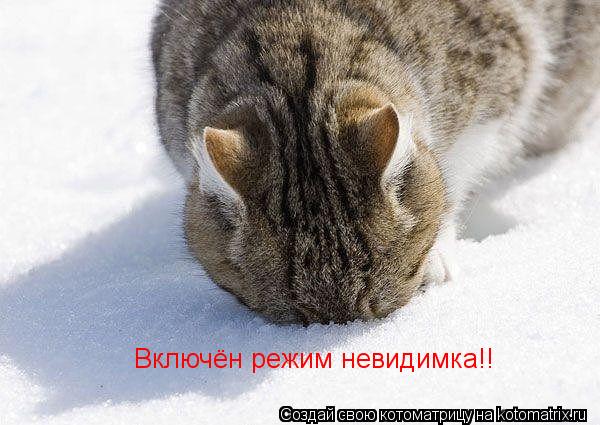 Включён режим невидимка!!... Котоматрица: Включён режим невидимка!!
