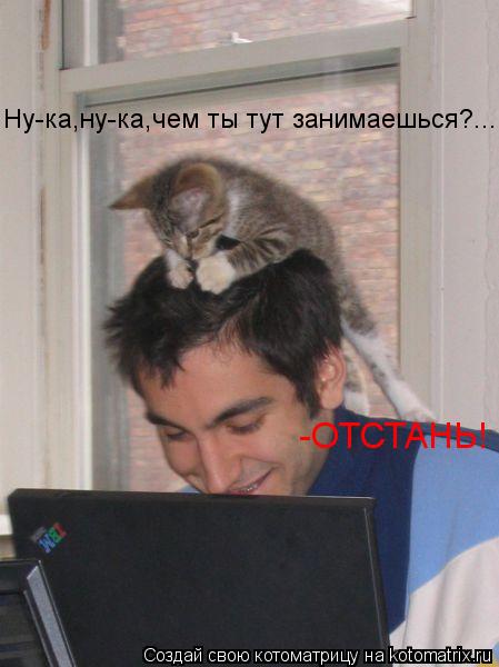 Ну-ка,ну-ка,чем ты тут занимаешься?... -ОТСТАНЬ!... Котоматрица: Ну-ка,ну-ка,чем ты тут занимаешься?... -ОТСТАНЬ!