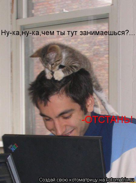 Котоматрица: Ну-ка,ну-ка,чем ты тут занимаешься?... -ОТСТАНЬ!