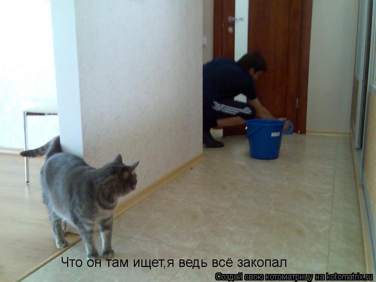 Что он там ищет,я ведь всё закопал... Котоматрица: Что он там ищет,я ведь всё закопал