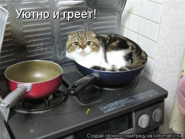 Уютно и греет!... Котоматрица: Уютно и греет!