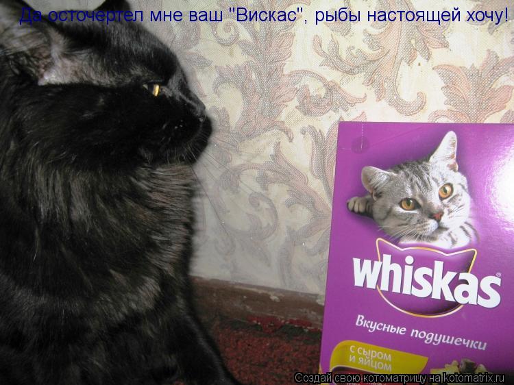 Да осточертел мне ваш "Вискас", рыбы настоящей хочу!... Котоматрица: Да осточертел мне ваш "Вискас", рыбы настоящей хочу!