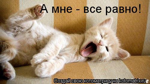 А мне - все равно!... Котоматрица: А мне - все равно!