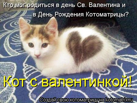 Кто мог родиться в день Св. Валентина и в День Рождения Котоматрицы? Кот с валентинкой!... Котоматрица: Кто мог родиться в день Св. Валентина и в День Рождения Котоматрицы? Кот с валентинкой!