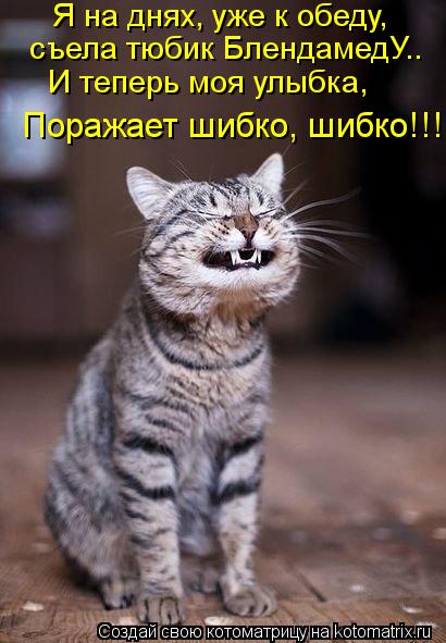 Я на днях, уже к обеду, съела тюбик БлендамедУ.. И теперь моя улыбка, Поражает шибко, шибко!!!... Котоматрица: Я на днях, уже к обеду, съела тюбик БлендамедУ.. И теперь моя улыбка, Поражает шибко, шибко!!!