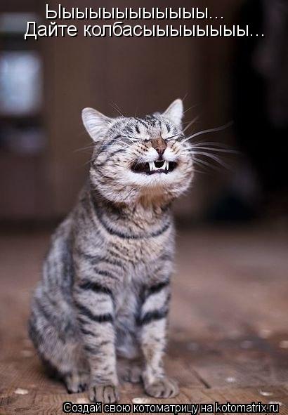 Ыыыыыыыыыыыы... Дайте колбасыыыыыыыы...... Котоматрица: Ыыыыыыыыыыыы... Дайте колбасыыыыыыыы...