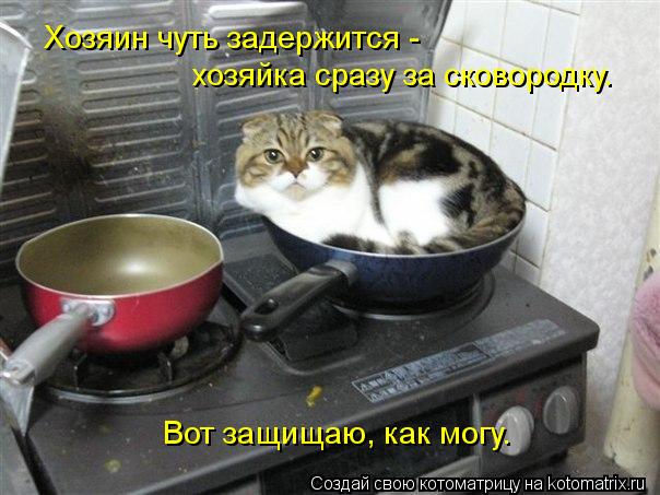 Котоматрица: Хозяин чуть задержится -  хозяйка сразу за сковородку. Вот защищаю, как могу.