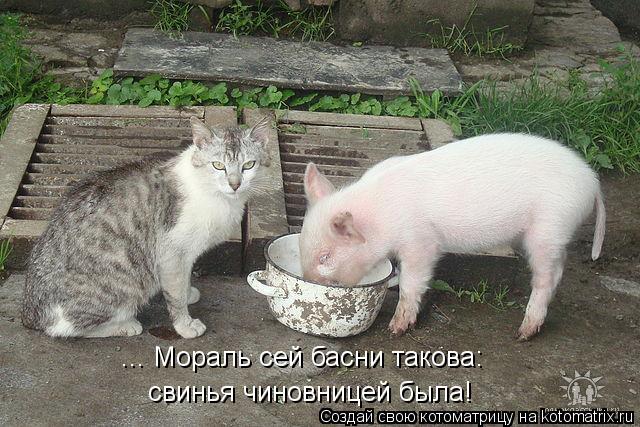 ... Мораль сей басни такова: свинья чиновницей была!... Котоматрица: ... Мораль сей басни такова: свинья чиновницей была!