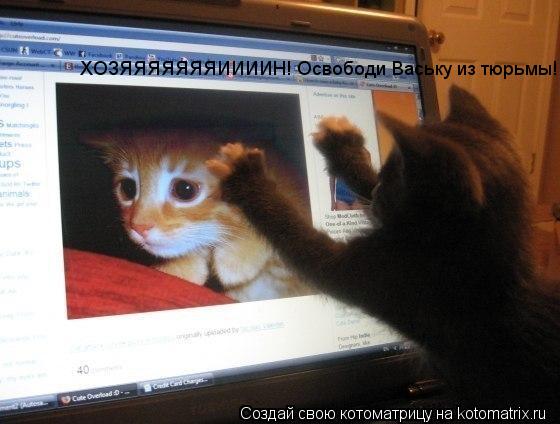 ХОЗЯЯЯЯЯЯЯИИИИН! Освободи Ваську из тюрьмы!!!... Котоматрица: ХОЗЯЯЯЯЯЯЯИИИИН! Освободи Ваську из тюрьмы!!!