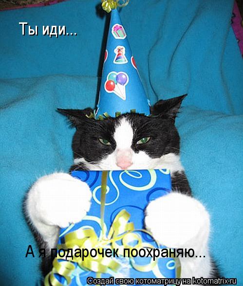 Ты иди... А я подарочек поохраняю...... Котоматрица: Ты иди... А я подарочек поохраняю...