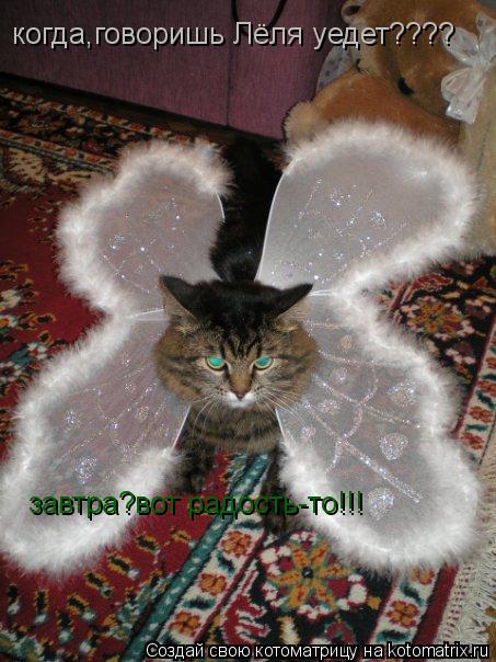 когда,говоришь Лёля уедет???? завтра?вот радость-то!!!... Котоматрица: когда,говоришь Лёля уедет???? завтра?вот радость-то!!!