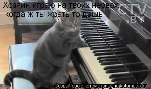 Хозяин играю на твоих нервах, когда ж ты жрать то дашь... Котоматрица: Хозяин играю на твоих нервах, когда ж ты жрать то дашь