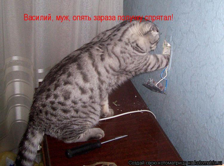 Василий, муж, опять зараза получку спрятал!... Котоматрица: Василий, муж, опять зараза получку спрятал!