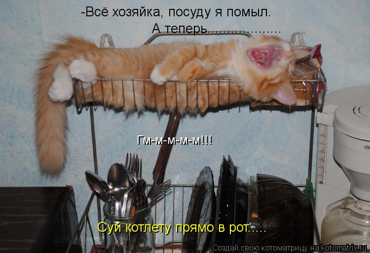 -Всё хозяйка, посуду я помыл. А теперь Суй котлету прямо в рот..... ................... Гм-м-м-м-м!!!... Котоматрица: -Всё хозяйка, посуду я помыл. А теперь Суй котлету прямо в рот..... ................... Гм-м-м-м-м!!!