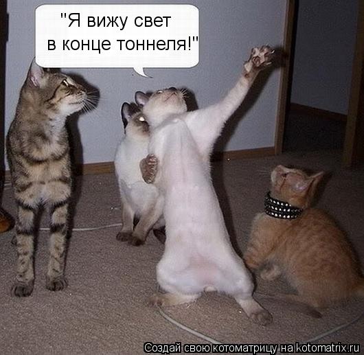 "Я вижу свет в конце тоннеля!"... Котоматрица: "Я вижу свет в конце тоннеля!"