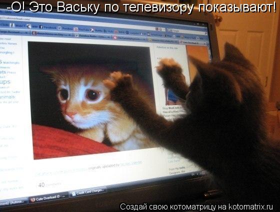 -О! Это Ваську по телевизору показывают!... Котоматрица: -О! Это Ваську по телевизору показывают!