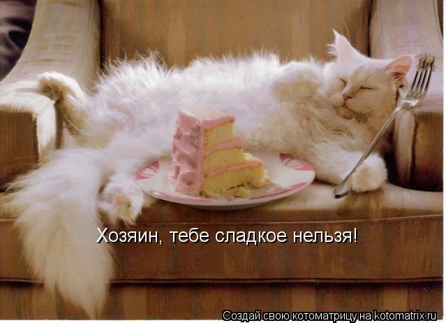Хозяин, тебе сладкое нельзя!... Котоматрица: Хозяин, тебе сладкое нельзя!
