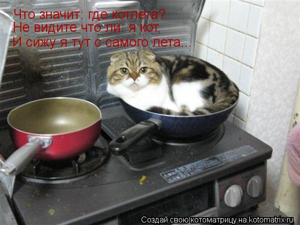 Что значит: где котлета? Не видите что ли: я кот, И сижу я тут с самого лета...... Котоматрица: Что значит: где котлета? Не видите что ли: я кот, И сижу я тут с самого лета...