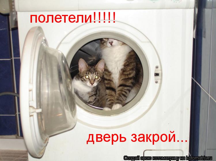 полетели!!!!! дверь закрой...... Котоматрица: полетели!!!!! дверь закрой...