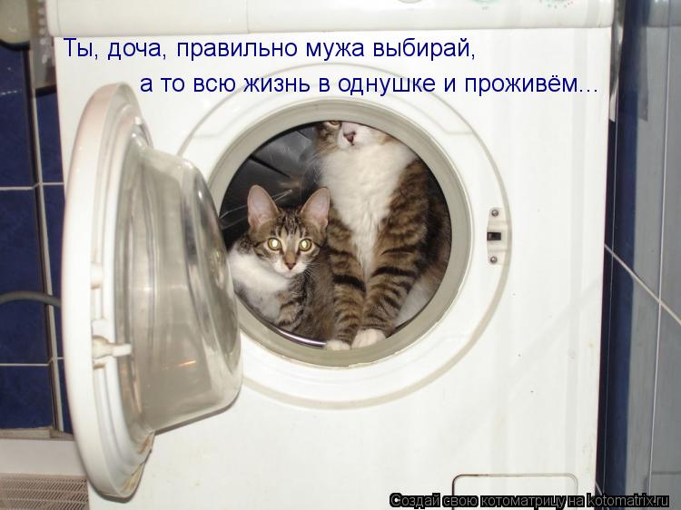 Ты, доча, правильно мужа выбирай, а то всю жизнь в однушке и проживём...... Котоматрица: Ты, доча, правильно мужа выбирай, а то всю жизнь в однушке и проживём...