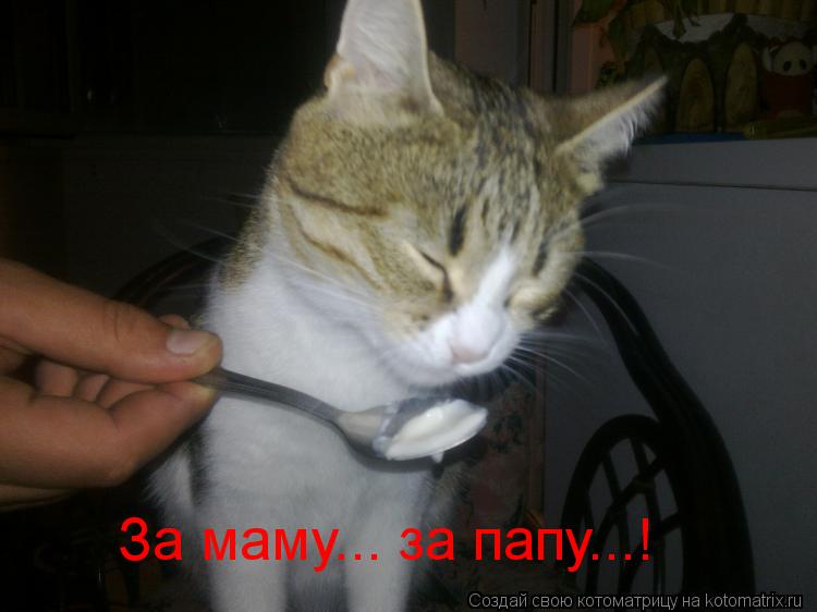 За маму... за папу...!... Котоматрица: За маму... за папу...!