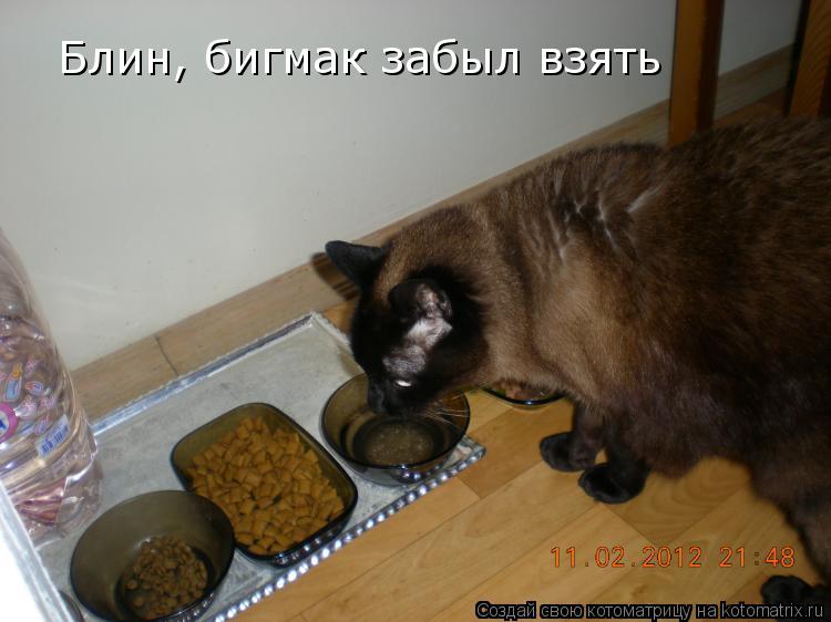 Блин, бигмак забыл взять... Котоматрица: Блин, бигмак забыл взять