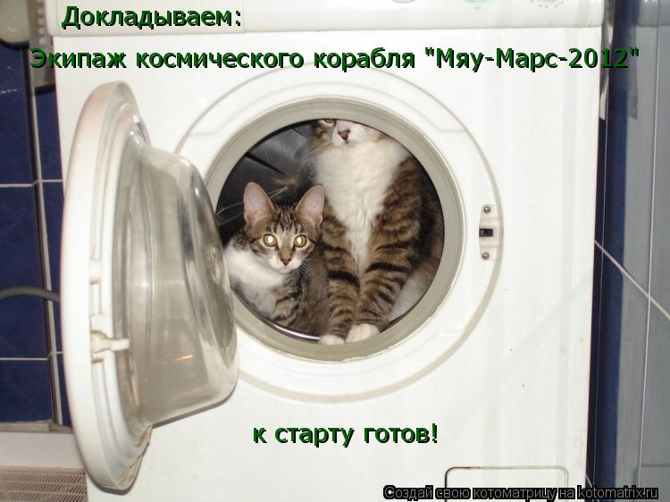 Котоматрица: Докладываем: Экипаж космического корабля "Мяу-Марс-2012" к старту готов!
