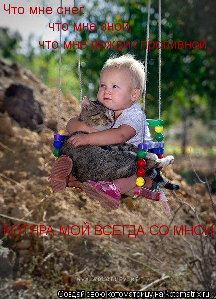 Котоматрица: Что мне снег,  что мне зной, что мне дождик проливной, КОТЯРА МОЙ ВСЕГДА СО МНОЙ