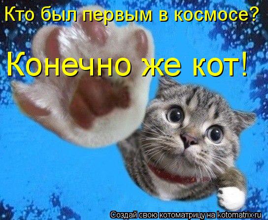 Котоматрица: Кто был первым в космосе? Конечно же кот!