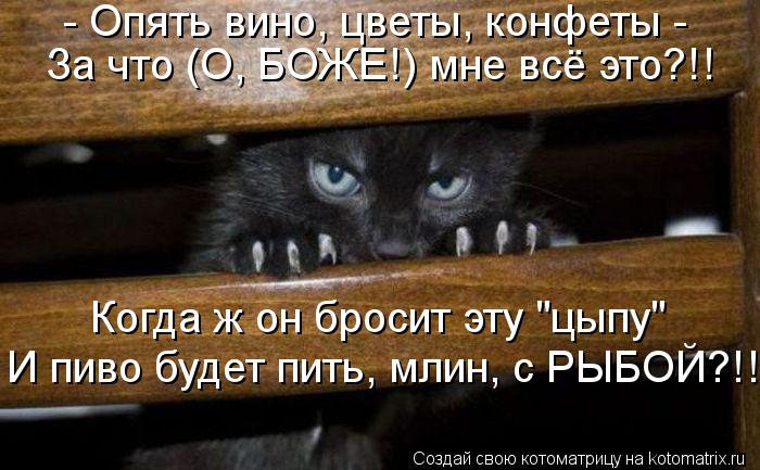 - Опять вино, цветы, конфеты - За что (О, БОЖЕ!) мне всё это?!! Когда ж он бросит эту "цыпу" И пиво ... Котоматрица: - Опять вино, цветы, конфеты - За что (О, БОЖЕ!) мне всё это?!! Когда ж он бросит эту "цыпу" И пиво будет пить, млин, с РЫБОЙ?!!