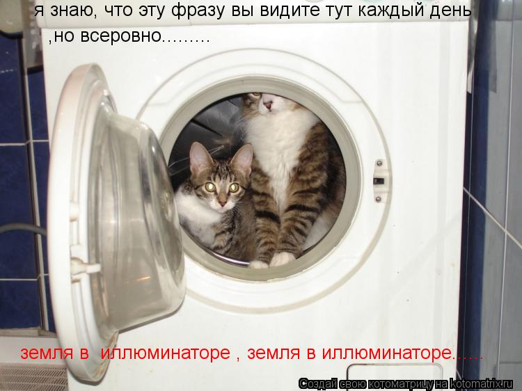 Котоматрица: ,но всеровно......... я знаю, что эту фразу вы видите тут каждый день земля в  иллюминаторе , земля в иллюминаторе......