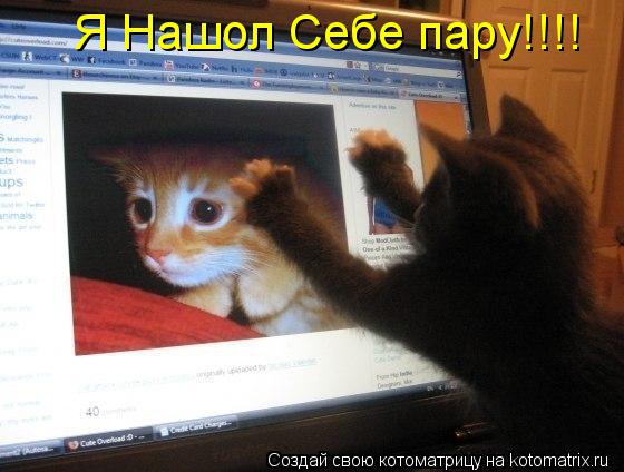 Котоматрица: Я Нашол Себе пару!!!!