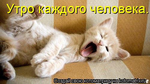 Котоматрица: Утро каждого человека.