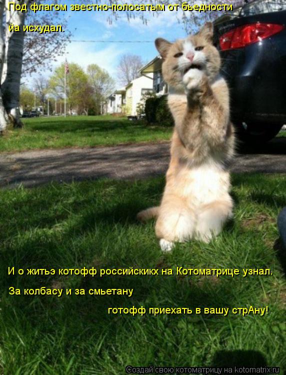 Котоматрица: Под флагом звестно-полосатым от бьедности йа исхудал. И о житьэ котофф российскикх на Котоматрице узнал.  За колбасу и за смьетану готофф пр