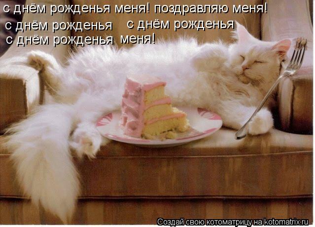 с днём рожденья меня! поздравляю меня! с днём рожденья с днём рожденья с днём рожденья меня!... Котоматрица: с днём рожденья меня! поздравляю меня! с днём рожденья с днём рожденья с днём рожденья меня!