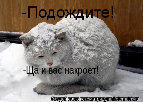 -Подождите! -Ща и вас накроет!... Котоматрица: -Подождите! -Ща и вас накроет!