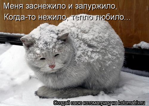Меня заснежило и запуржило, Когда-то нежило, тепло любило...... Котоматрица: Меня заснежило и запуржило, Когда-то нежило, тепло любило...