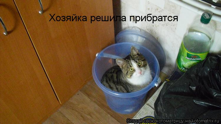 Хозяйка решила прибратся... Котоматрица: Хозяйка решила прибратся